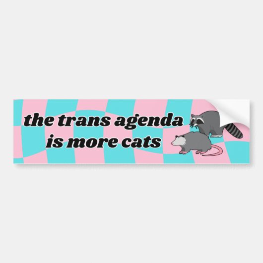 Trans Agenda-Bumpersticker Bumpersticker (Voorkant)