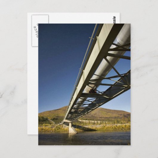 Trans-Alaska-oliepijpleiding door Zuidvork Koyu Briefkaart (Voorkant / Achterkant)
