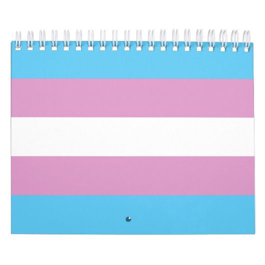 Trans Pride Flag Kalender (Hoes)
