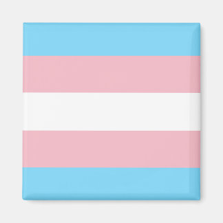 Trans Pride Flag Magneet