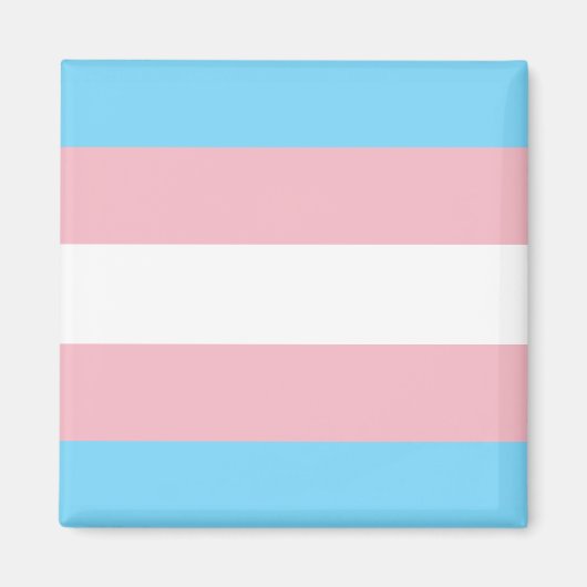 Trans Pride Flag Magneet (Voorkant)