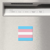 Trans Pride Flag Magneet (Insitu (Vaatwasser))