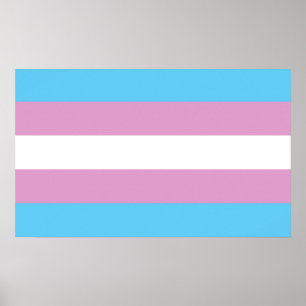 Trans Pride Flag Poster