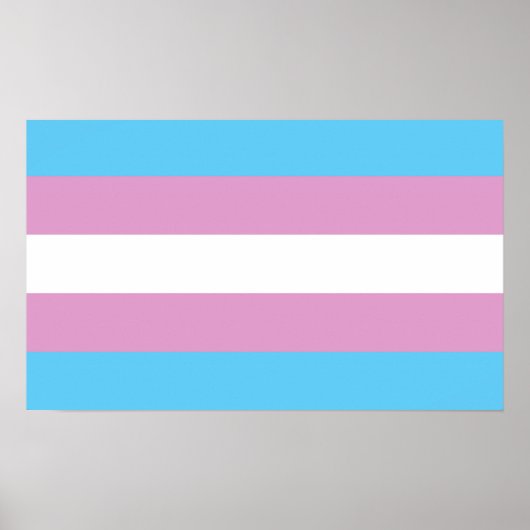 Trans Pride Flag Poster (Voorkant)
