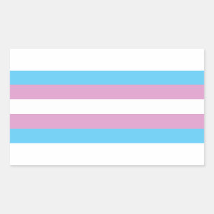 Trans Pride Flag Rechthoekige Sticker