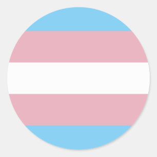 Trans Pride Flag Ronde Sticker