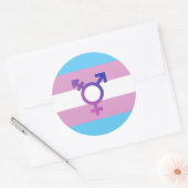 Trans Pride Flag Ronde Sticker (Envelop)