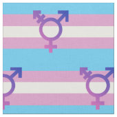 Trans Pride Flag Stof (Close Up)
