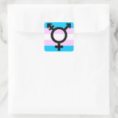 Trans Pride stickers - afgerond, met symbool (Tas)