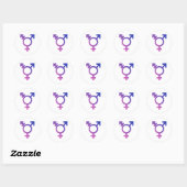 Trans Pride Symbool Ronde Sticker (Vel)