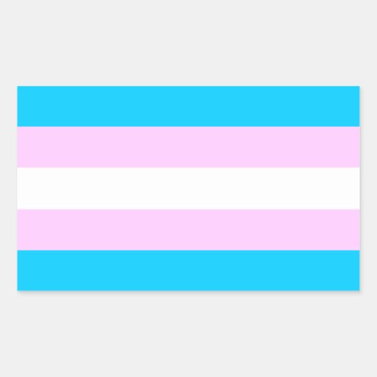 Trans pride vlag stickers (Voorkant)