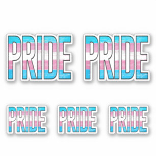 Trans Pride Woord Sticker
