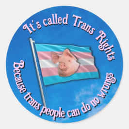 Trans Rights Sticker