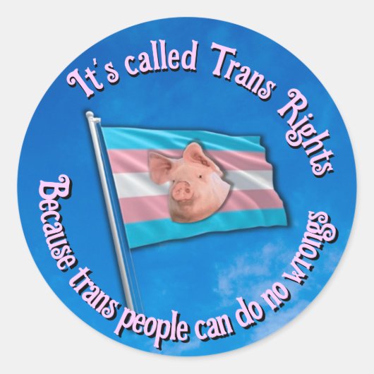 Trans Rights Sticker (Voorkant)