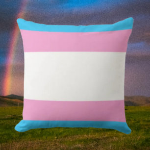 Trans Troost Pride Kussen