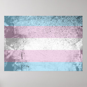 TRANS VLAG ORIGINEEL - PNG.png Poster