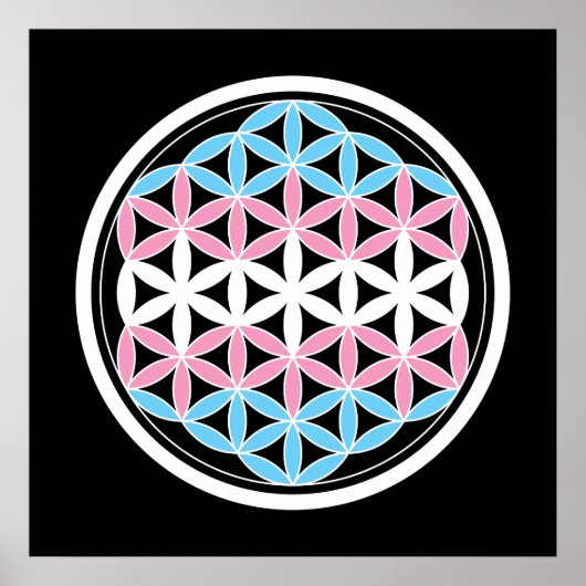 tranSacred geometrie Poster (Voorkant)