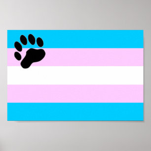 TransBear-Poster Poster
