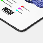 Transfert d'informations à l'intérieur de l'Humour (Coin)