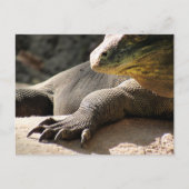 Transfert postal - Carte postale Komodo Dragon (Devant)