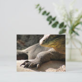 Transfert postal - Carte postale Komodo Dragon (Debout devant)