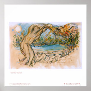 Transformatie Poster