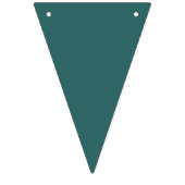 Transformationeel Teal Vlaggetjes (Tweede vlag)