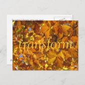 Transformeren Briefkaart (Voorkant / Achterkant)