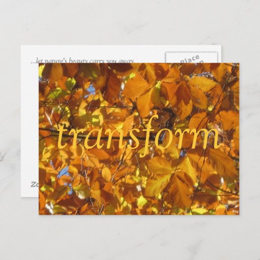 Transformeren Briefkaart (Voorkant / Achterkant)