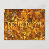 Transformeren Briefkaart (Voorkant)