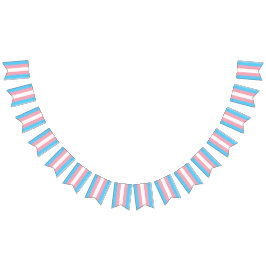 Transgender Flag Party Signs Banners Garland