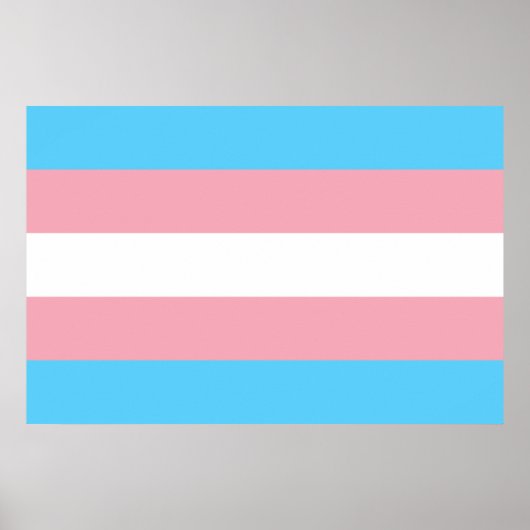 Transgender flag trans-pride LGBT symbool homohomo Poster (Voorkant)