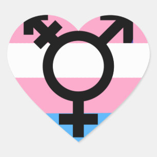 Transgender MTF FTM Awareness Pride Sticker