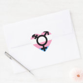 Transgender MTF FTM Awareness Pride Sticker (Envelop)