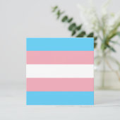 Transgender Pride Flag (Staand voorkant)