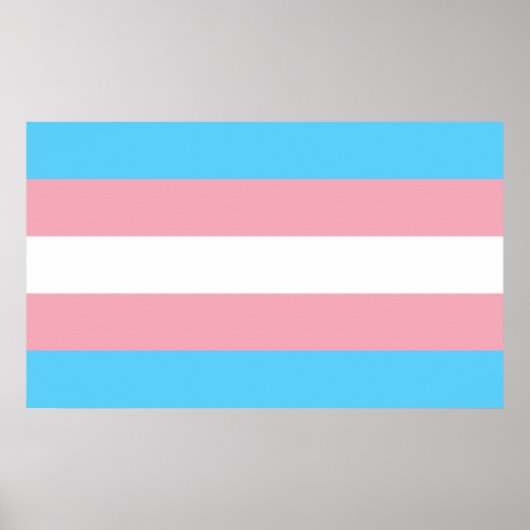 Transgender Pride Flag - LGBT-regenboog Poster (Voorkant)