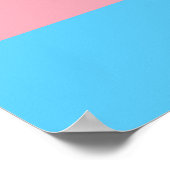 Transgender Pride Flag - LGBT-regenboog Poster (Hoek)