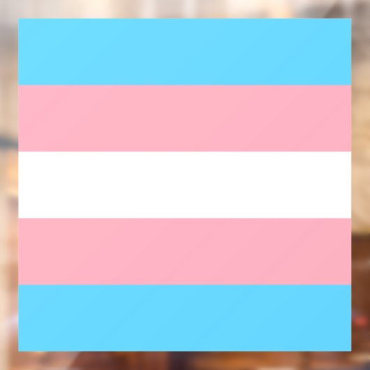 Transgender Pride Flag Raamsticker (Vel 2)