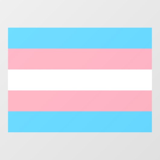 Transgender Pride Flag Raamsticker (Vel)
