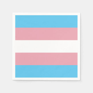Transgender Pride Flag Servet