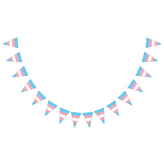 Transgender Pride Flag Vlaggetjes (Alle)