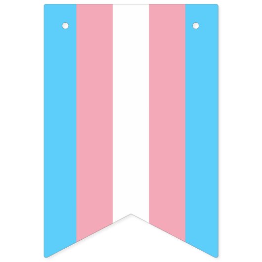 Transgender Pride Flag Vlaggetjes (Tweede vlag)