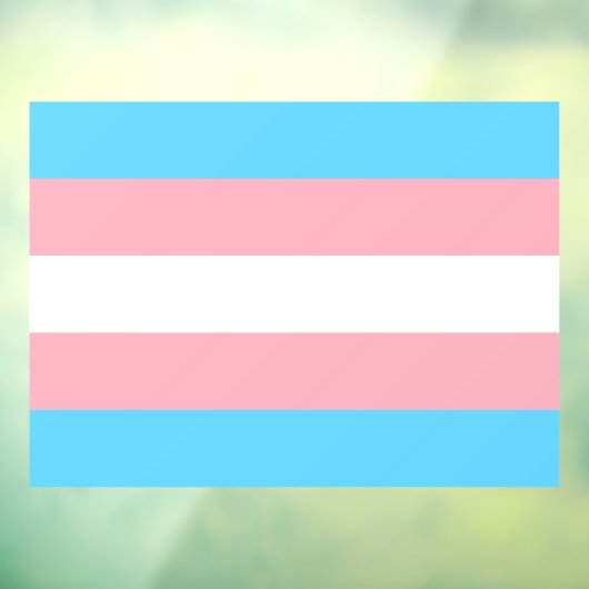 Transgender Pride Raamsticker (Vel 3)