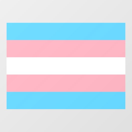Transgender Pride Raamsticker (Vel)