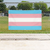 Transgender Pride Spandoek (Insitu)