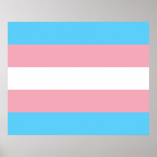 Transgender Pride vlag Poster (Voorkant)