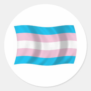 Transgender Pride-vlagsticker Ronde Sticker