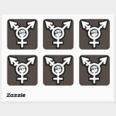Transgender Sticker Set (Vel)
