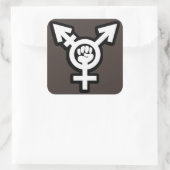 Transgender Sticker Set (Tas)