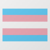 Transgender Vlag, Gender, LGBT & Pride Raamsticker (Vel)